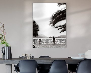 Esplanade of Menaggio by Michael Schulz-Dostal