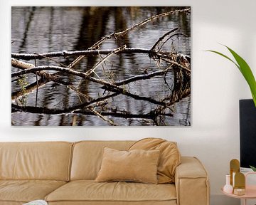 Jumble of branches and ditch by Stobbe; stiltegrafie