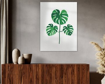 Drievoudige Monstera Samenstelling