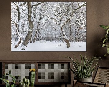 De Strubben-Kniphorstbosch - Schipborg - Drenthe (Netherlands) by Marcel Kerdijk