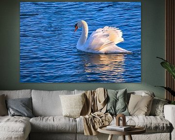 Majesty on the Danube by Photoart-Naegele