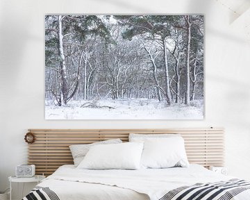 De Strubben-Kniphorstbosch - Schipborg - Drenthe (Pays-Bas)