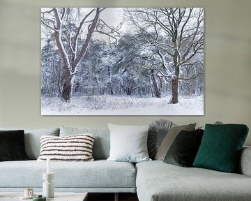 De Strubben-Kniphorstbosch - Schipborg - Drenthe (Pays-Bas)