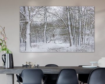 De Strubben-Kniphorstbosch - Schipborg - Drenthe (Pays-Bas)