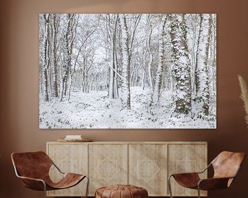 De Strubben-Kniphorstbosch - Schipborg - Drenthe (Pays-Bas)