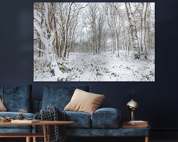 De Strubben-Kniphorstbosch - Schipborg - Drenthe (Niederlande) von Marcel Kerdijk