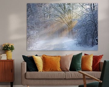 Sonnenstrahlen im Schnee