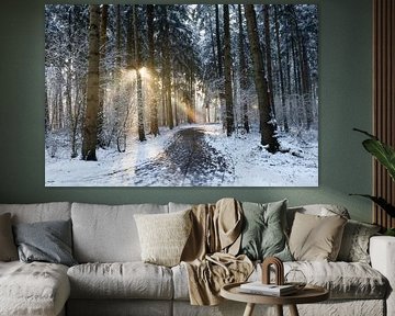 Sonnenstrahlen im Winterwald