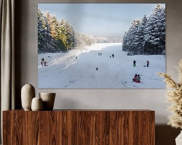 Schlittenfahren im Amsterdamse Bos