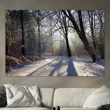 Rayons de soleil dans la neige