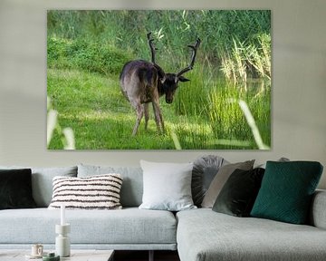 Ich habe dich im Visier