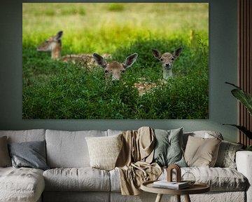 Wij zijn er niet van Mart Houtman