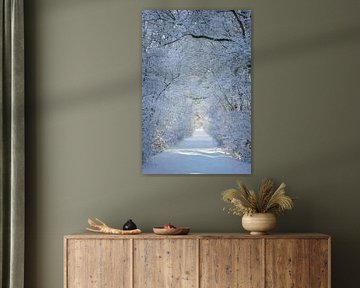 Tunnel of snow-De Pannehoef,Brabant