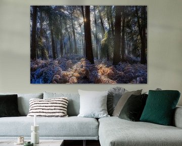 Tranquil winter forest