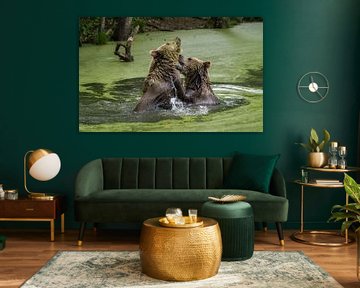 bears playing in the water by Mart Houtman