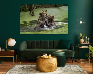 Aperçu de la chambre