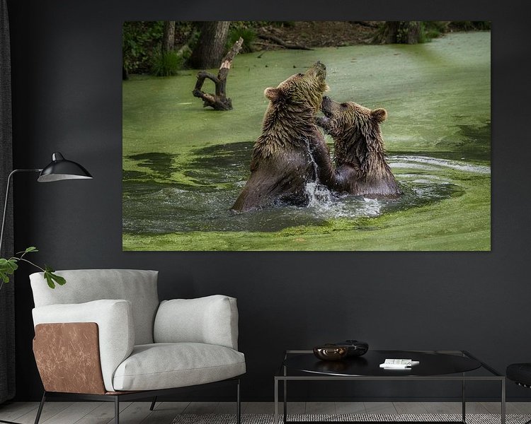 Aperçu de la chambre