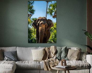 Elefant in Nahaufnahme von MNS Designs