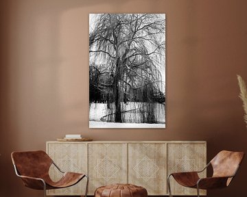 Wintertijd in zwartwit van Jan van der Knaap