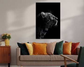 Leeuw in het donker van MNS Designs