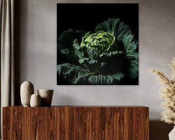 A kale on a black background. by J.a Dijkstra