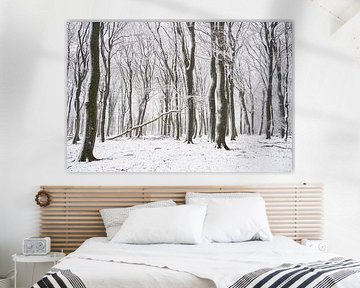 Fresh snow in beech forest by Cor de Hamer