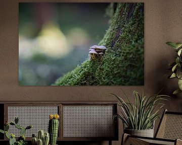 Forest love by Basti´s Pix und Raus