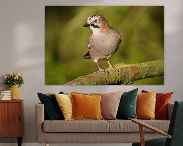 Jota von Stobbe; stiltegrafie