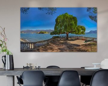 Ein Aussichtspunkt mit einem ungewöhnlichen freistehenden Baum mit Blick auf die Isola Bella, Stresa