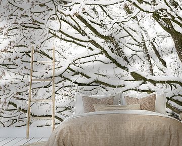 The structure of branches in the snow by Marjolijn van den Berg