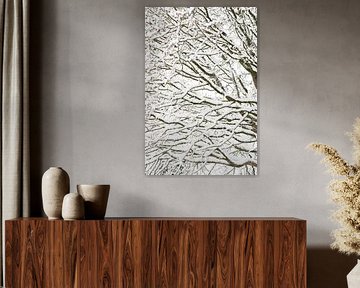 De structuur van takken in de sneeuw van Marjolijn van den Berg