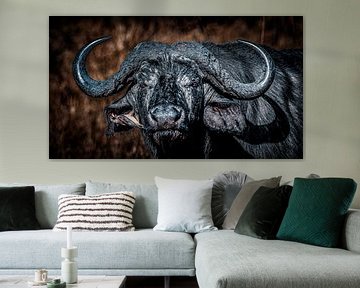 The buffalo's gaze, eye to eye by Arjan Warmerdam