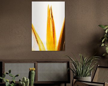 Scaevola in Eis von Marc Heiligenstein