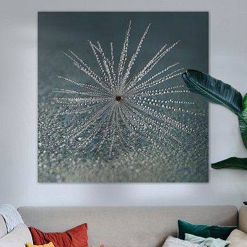 Tranquillity: natural close-up by Marjolijn van den Berg