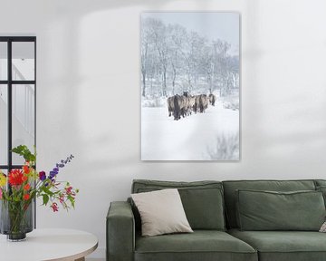 A herd of king horses in the snow by Elise Vos