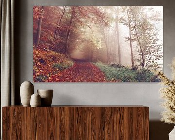Fall Forest Foothpath by Splash Gallery
