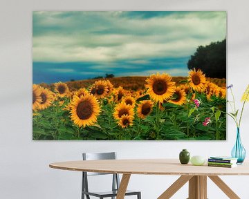 Gold by Made by Martin