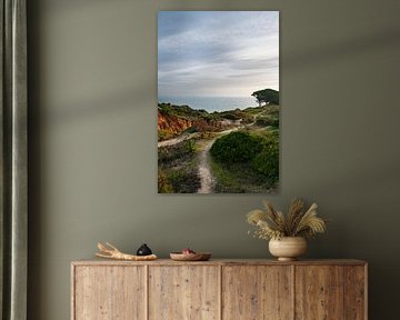 Paradies der Wildpflanzen und Meerblick - Lagos, Algarve von Linsy Steijvers