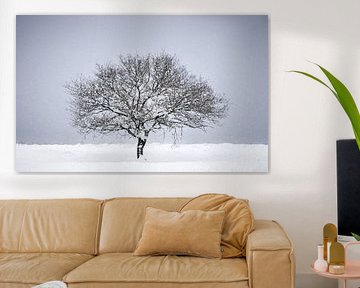 Winter landscape on the Veluwe