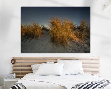 Dune grass II