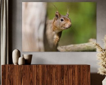 Around the corner by Stobbe; stiltegrafie