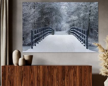 Schnee im Westerpark von Ellen Weidenaar