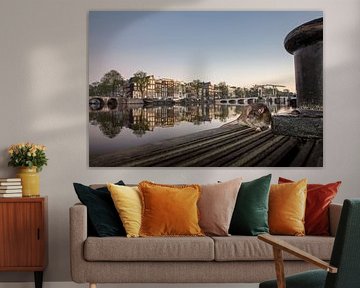 Amsterdam, Braune Ratte am Fluss Amstel. von Frans Lemmens