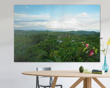 Uitzicht op het regenwoud en de Stille Oceaan vanuit Ojochal in Costa Rica