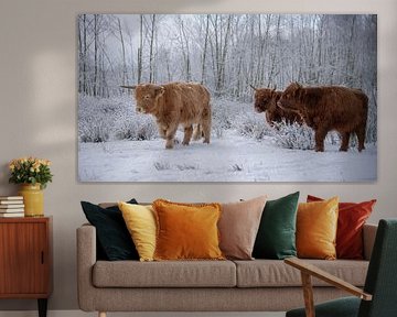 Scottish Highlanders on a walk... by Ans Bastiaanssen