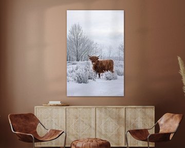 Scottish Highlander in winter landscape by Ans Bastiaanssen