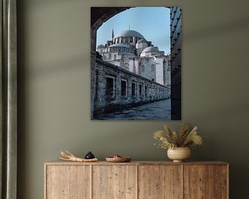 Fatih-Moschee von Kevin van Leeuwen