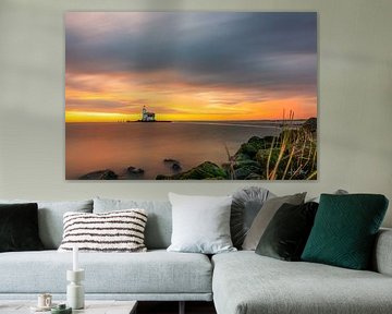 Horse of Marken morning glory