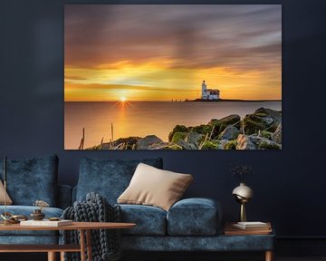 Horse of Marken morning glory