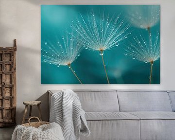 Dew on dandelion fluff macro by Art & Soul Creations